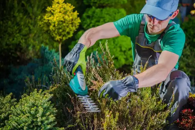 landscaping services Kirkersville